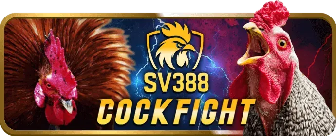 Hỗ trợ khách hàng 24/7 Winaz